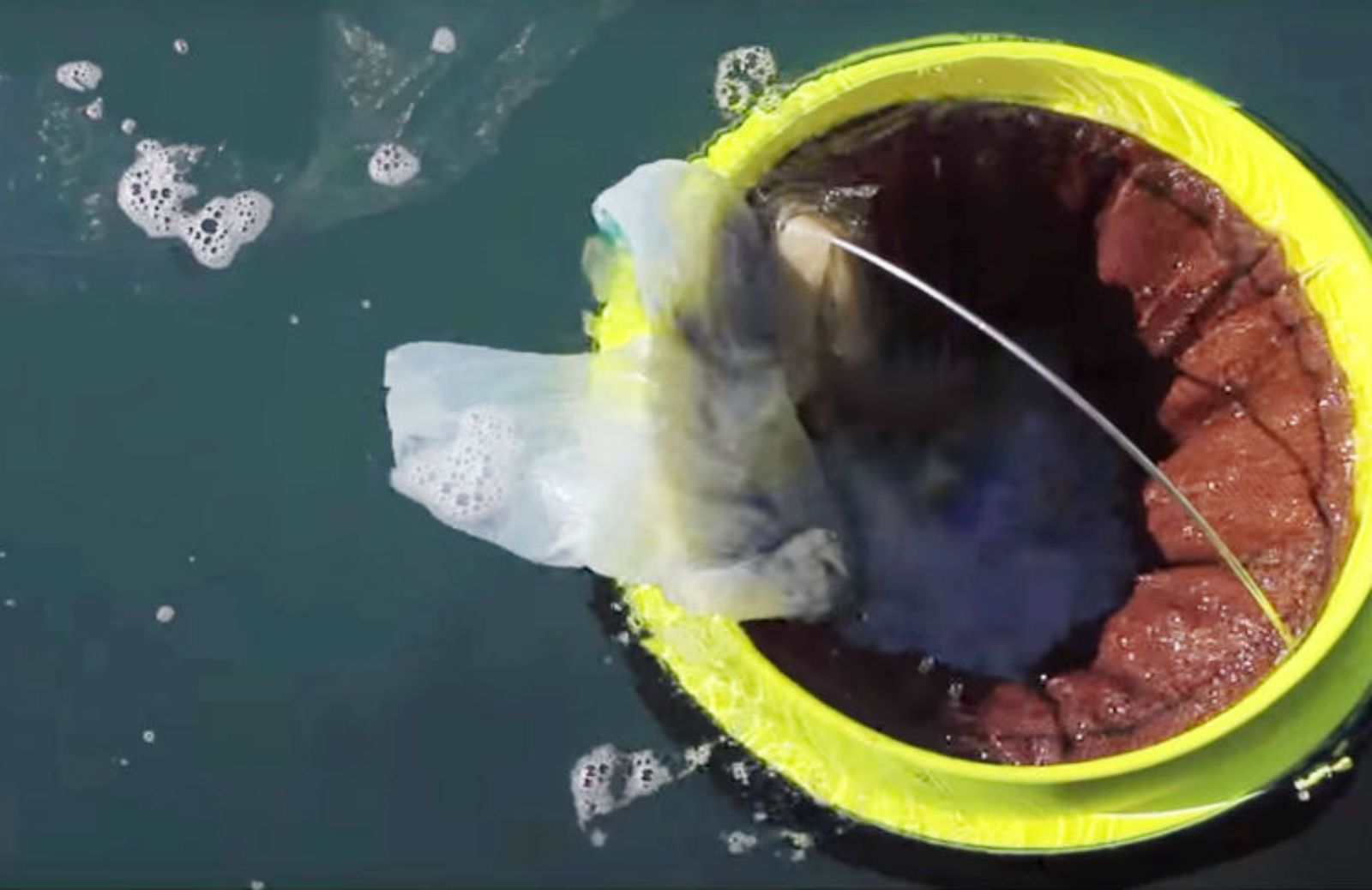 Seabin, il primo cestino che ripulisce gli oceani