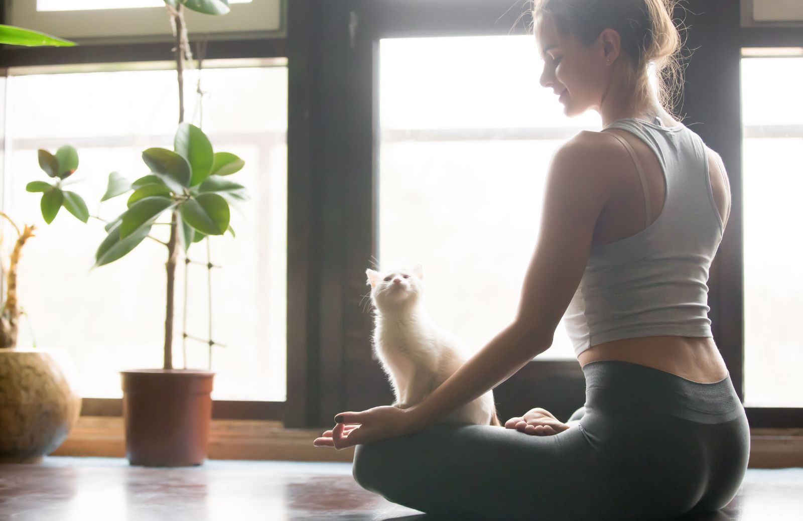 Yoga a casa 5 siti per imparare flow e sequenze