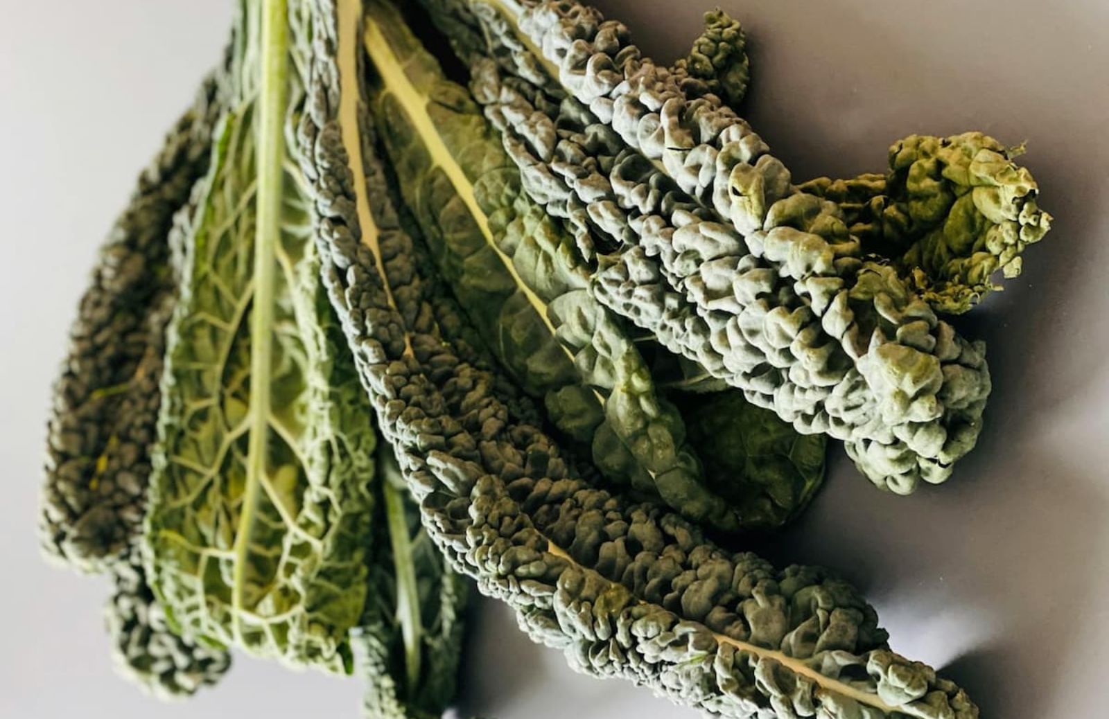 Cavolo nero: 10 ricette sfiziose e veloci