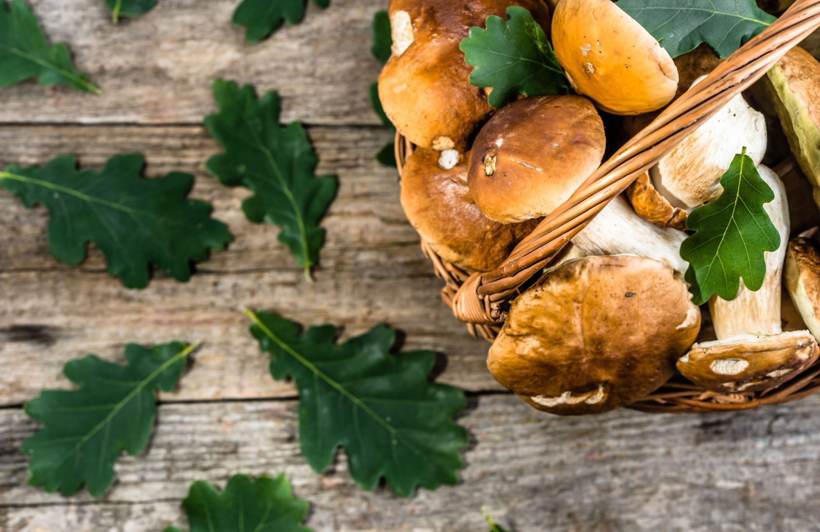 Ricette con i funghi porcini: 5 primi piatti che vi faranno leccare i baffi!