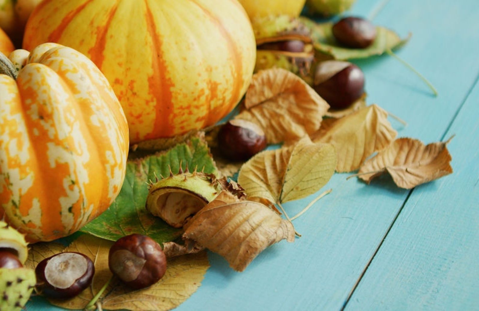 Tartufi, zucche, castagne: alla scoperta delle sagre d’autunno