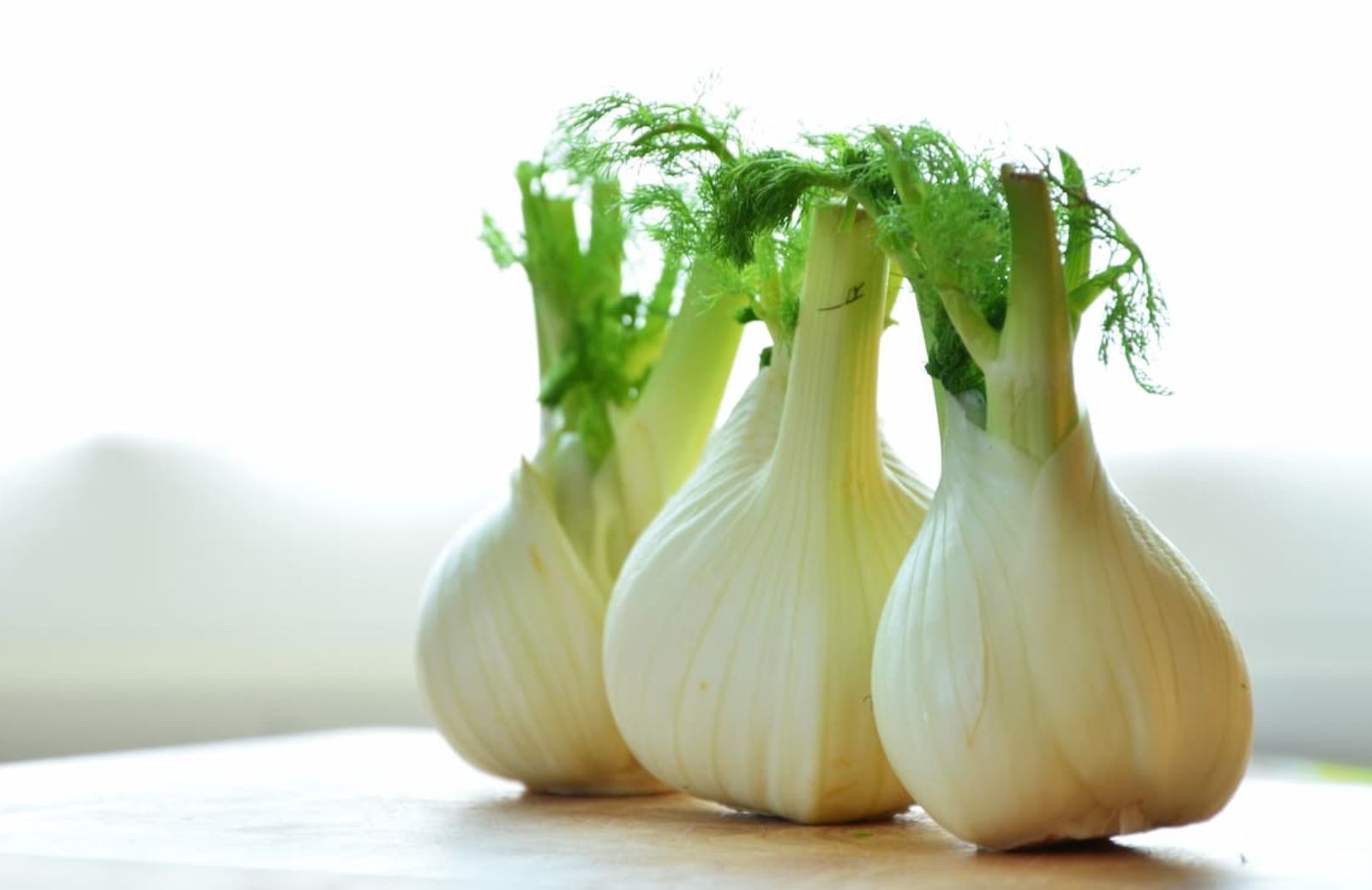 Finocchi: ricette facili e gustose