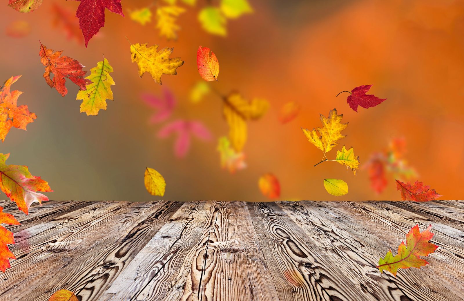 10 frasi sull'autunno: ecco le più belle