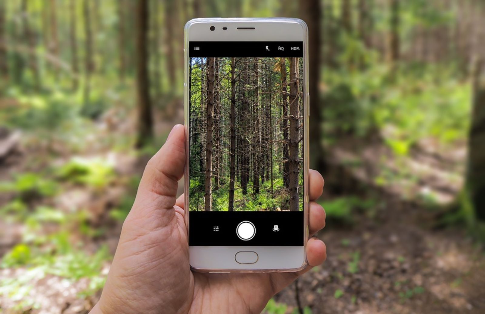 5 app gratis da scaricare se ami la fotografia 