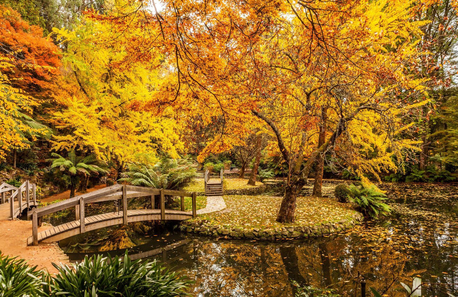 Autunno in 10 immagini belle e malinconiche