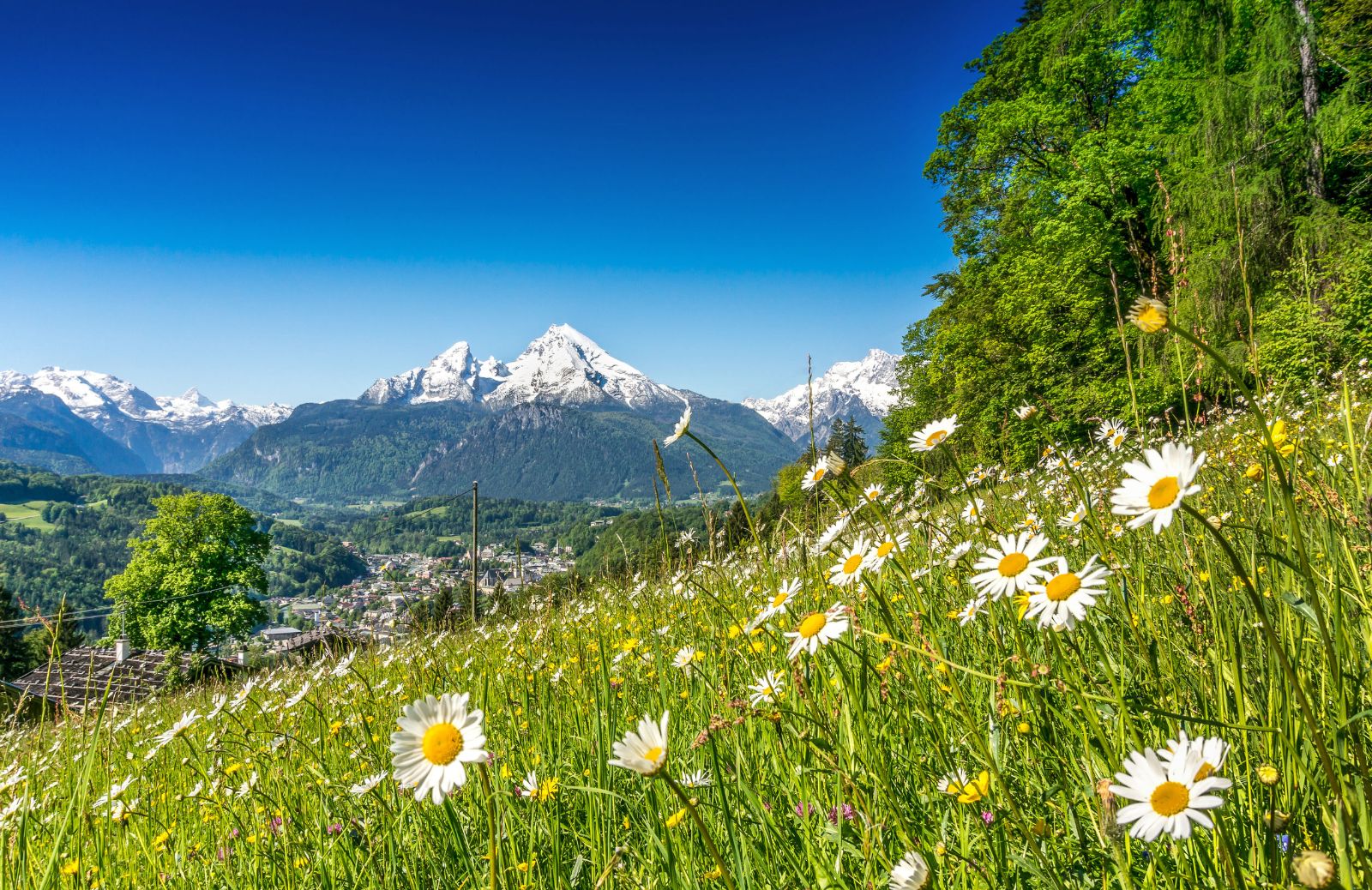 Estate al fresco: 5 idee per vacanze in montagna