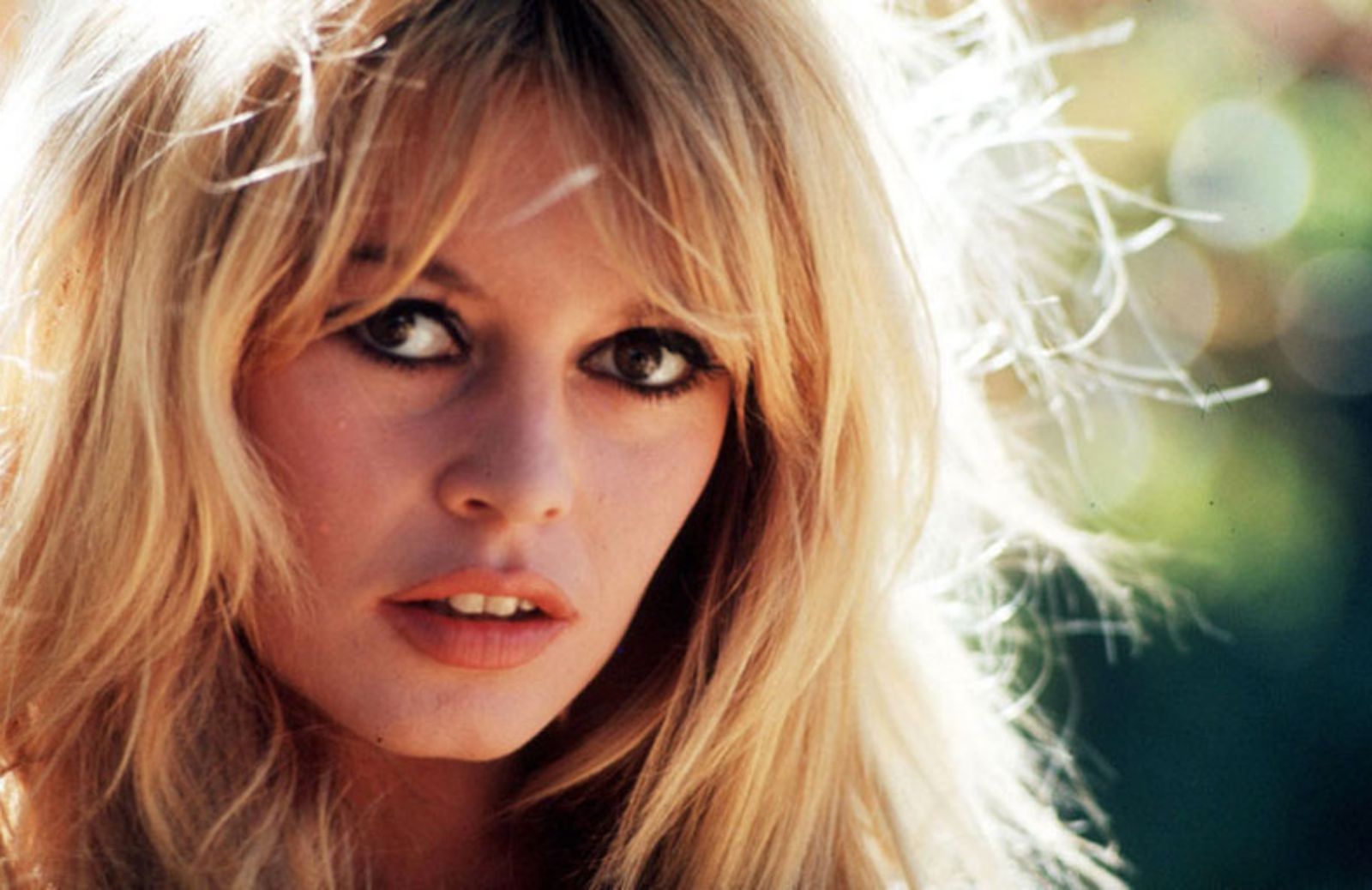 Le 5 frasi più belle di Brigitte Bardot