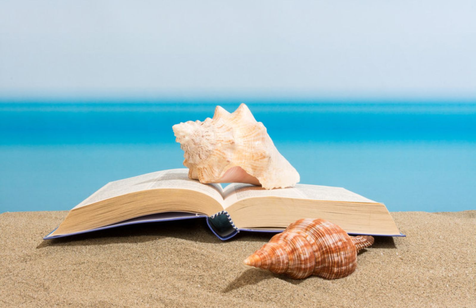 5 libri che parlano d'estate da leggere... d'estate 