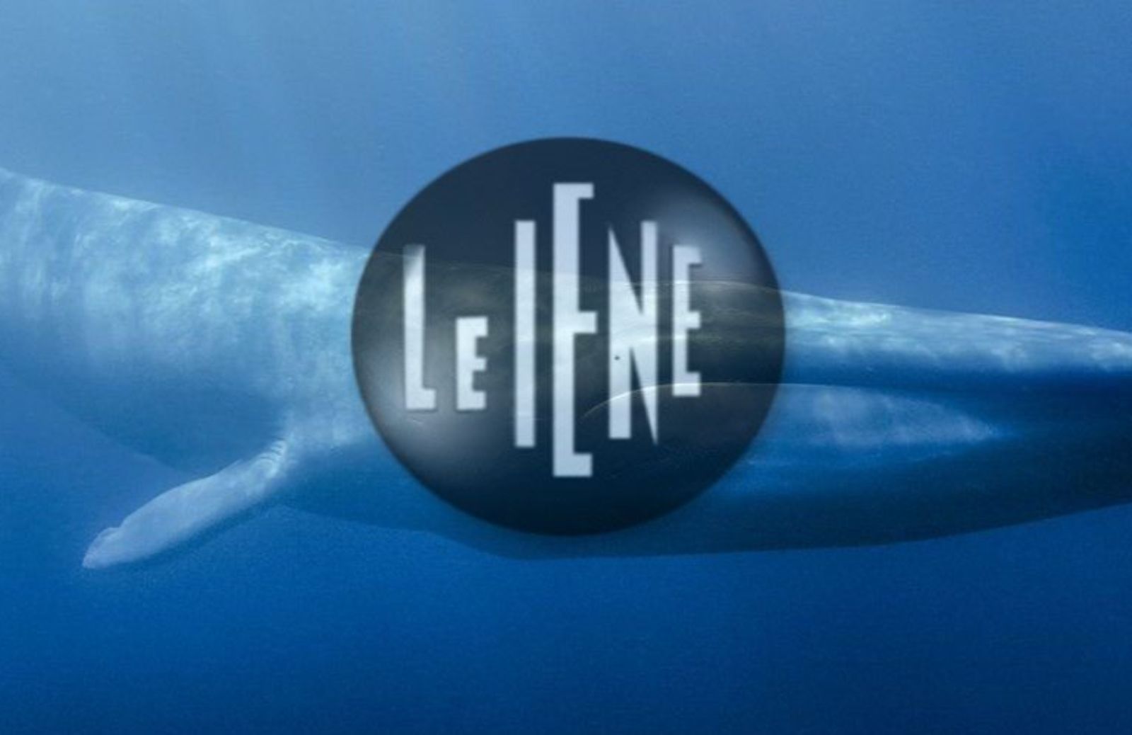 Iene e Blue Whale: il caso dei video degli adolescenti suicidi 