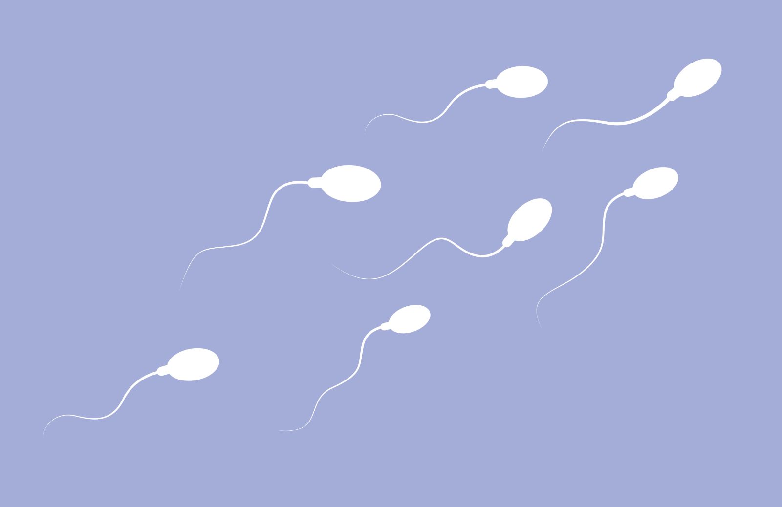 Sperma: tra curiosità, leggende e falsi miti