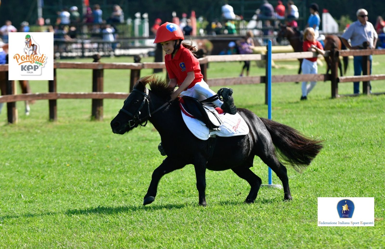 Ponyadi 2019: al via a Roma le mini olimpiadi dell'equitazione