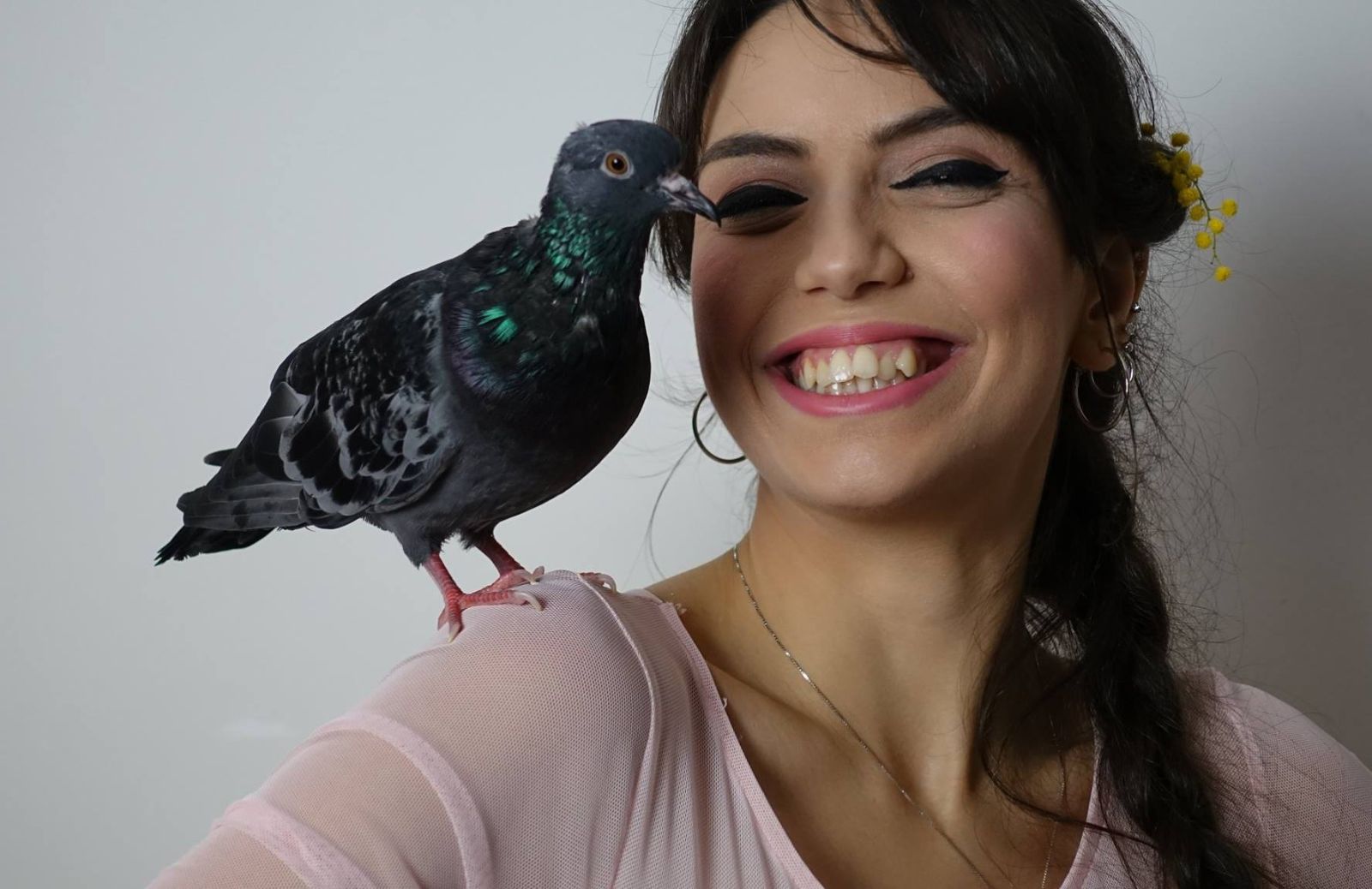 Adottare un piccione, l'esperienza di Antonella: “Sono coccolosi come cane e gatto”