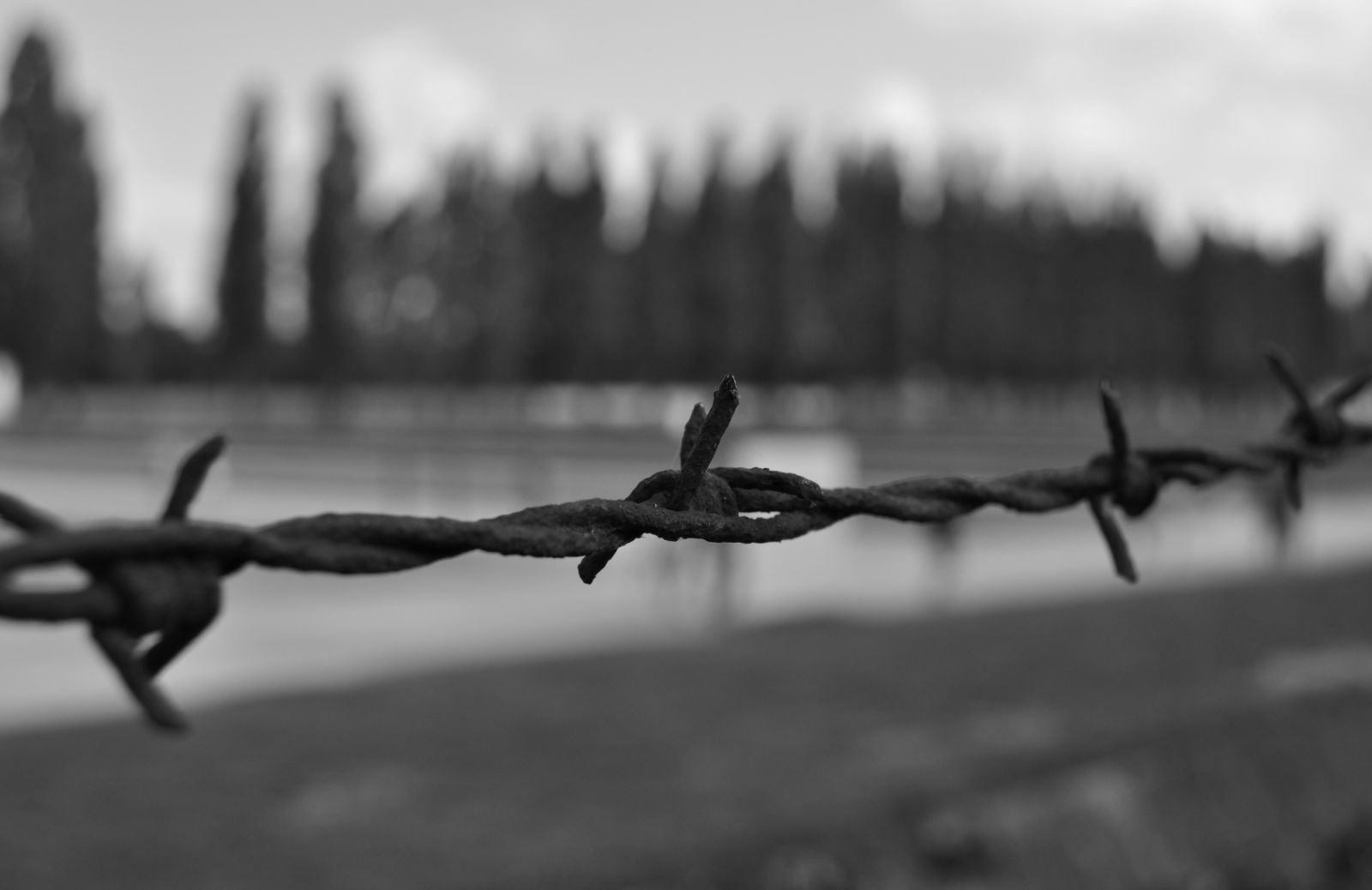 Giornata della memoria: per non dimenticare la Shoah e le vittime dell'olocausto
