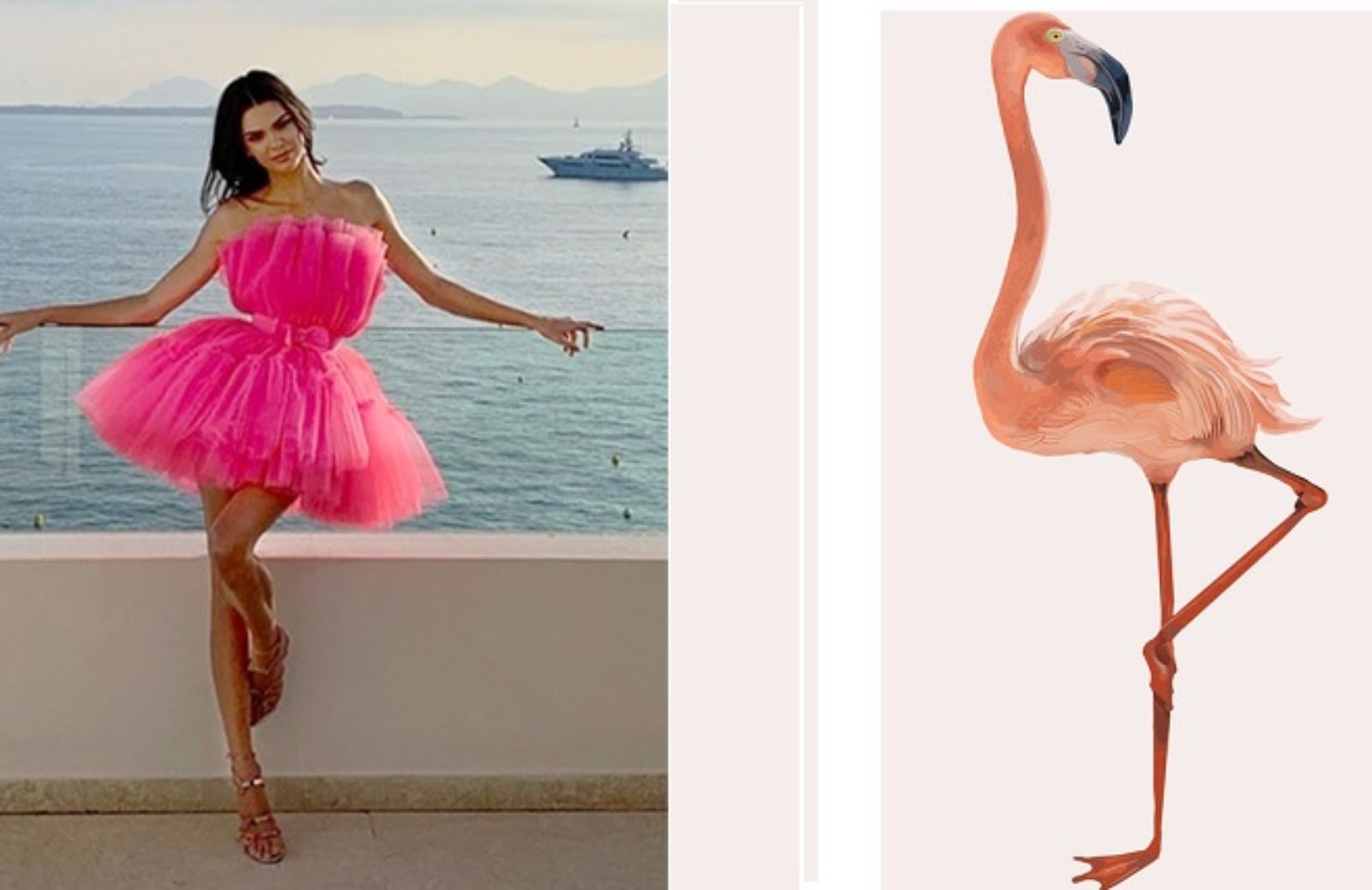 Flamingo Pose, tutto sulla tendenza Instagram dell'estate