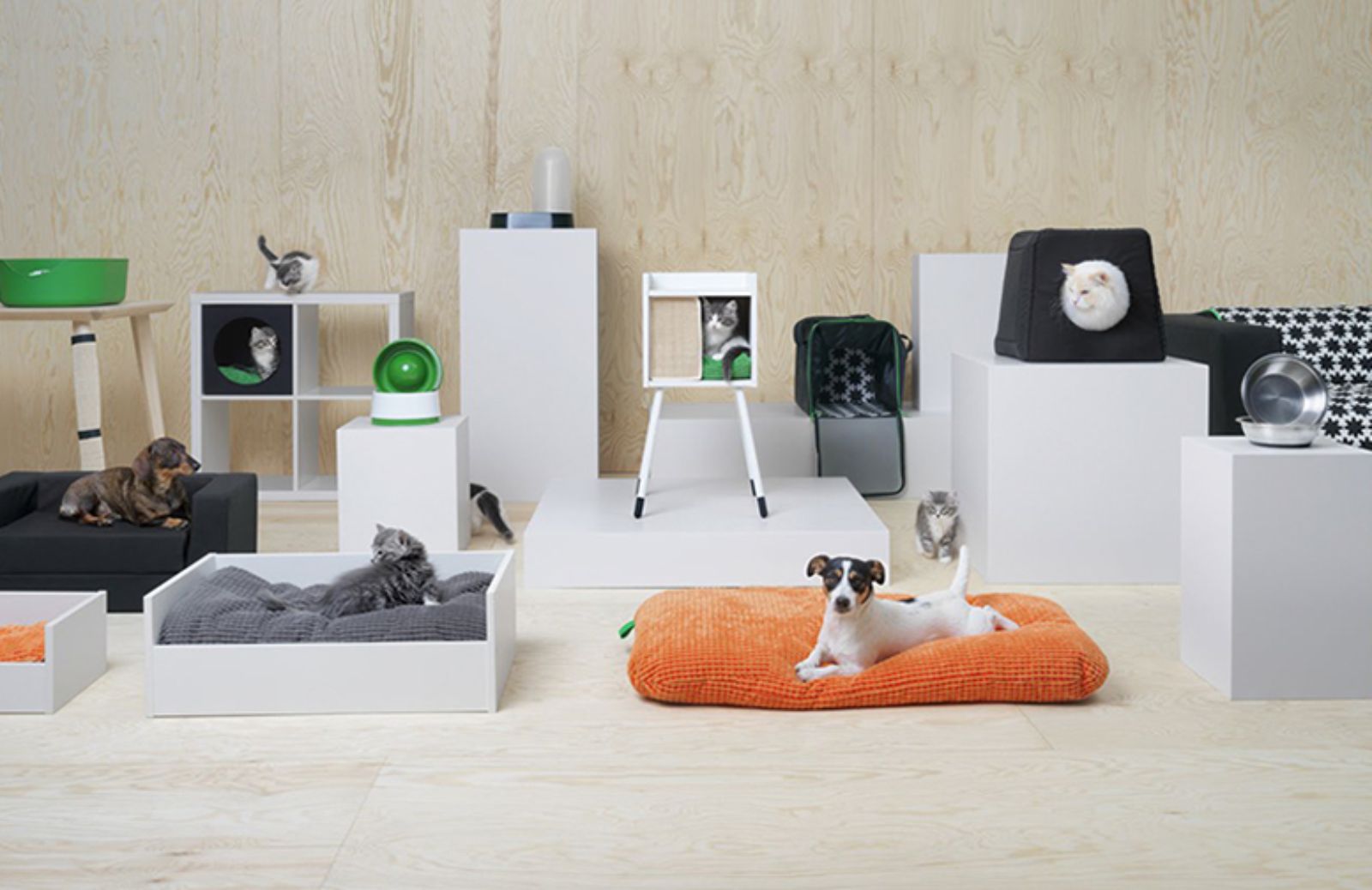 5 oggetti di design dedicati a cani e gatti