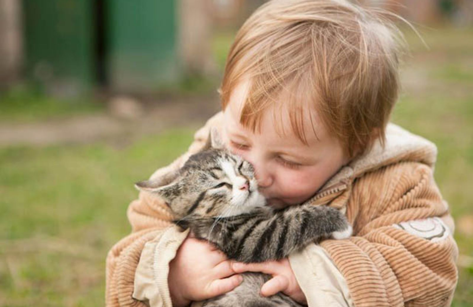 I 10 segnali che dimostrano che il gatto ti ama davvero