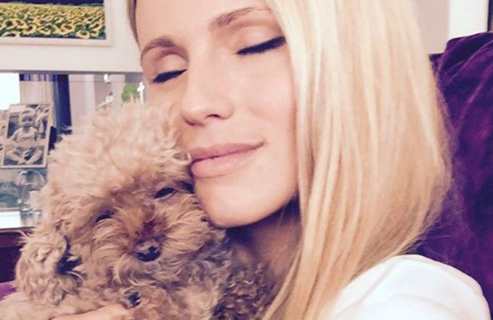 I 5 cani delle star più famosi su Instagram