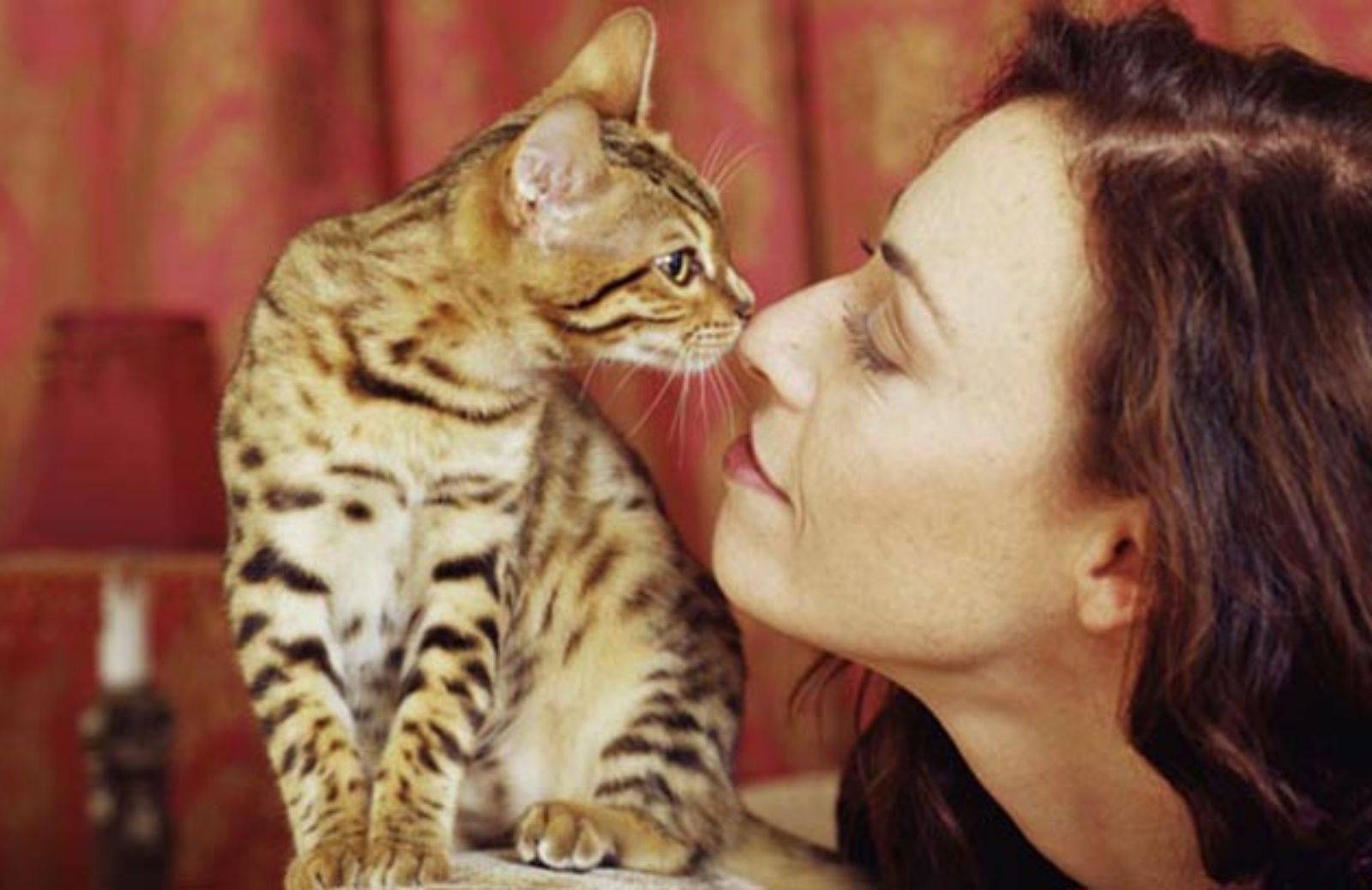 I 5 consigli per farti amare di più dal tuo gatto