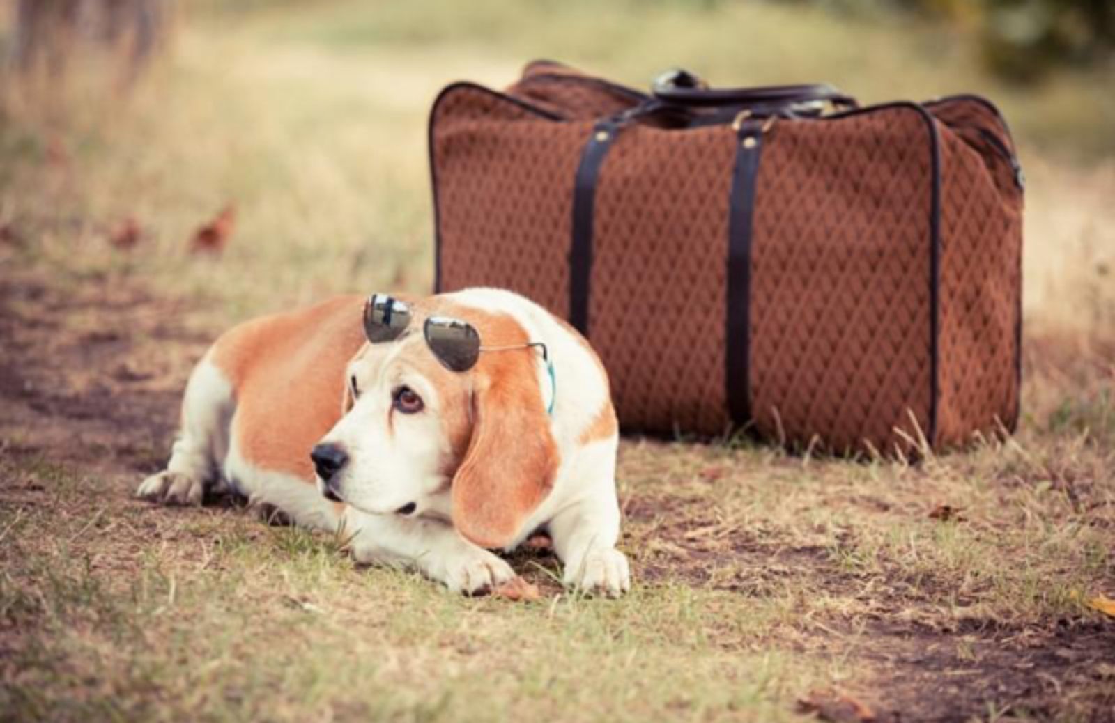 I 5 siti da consultare per organizzare un viaggio con Fido