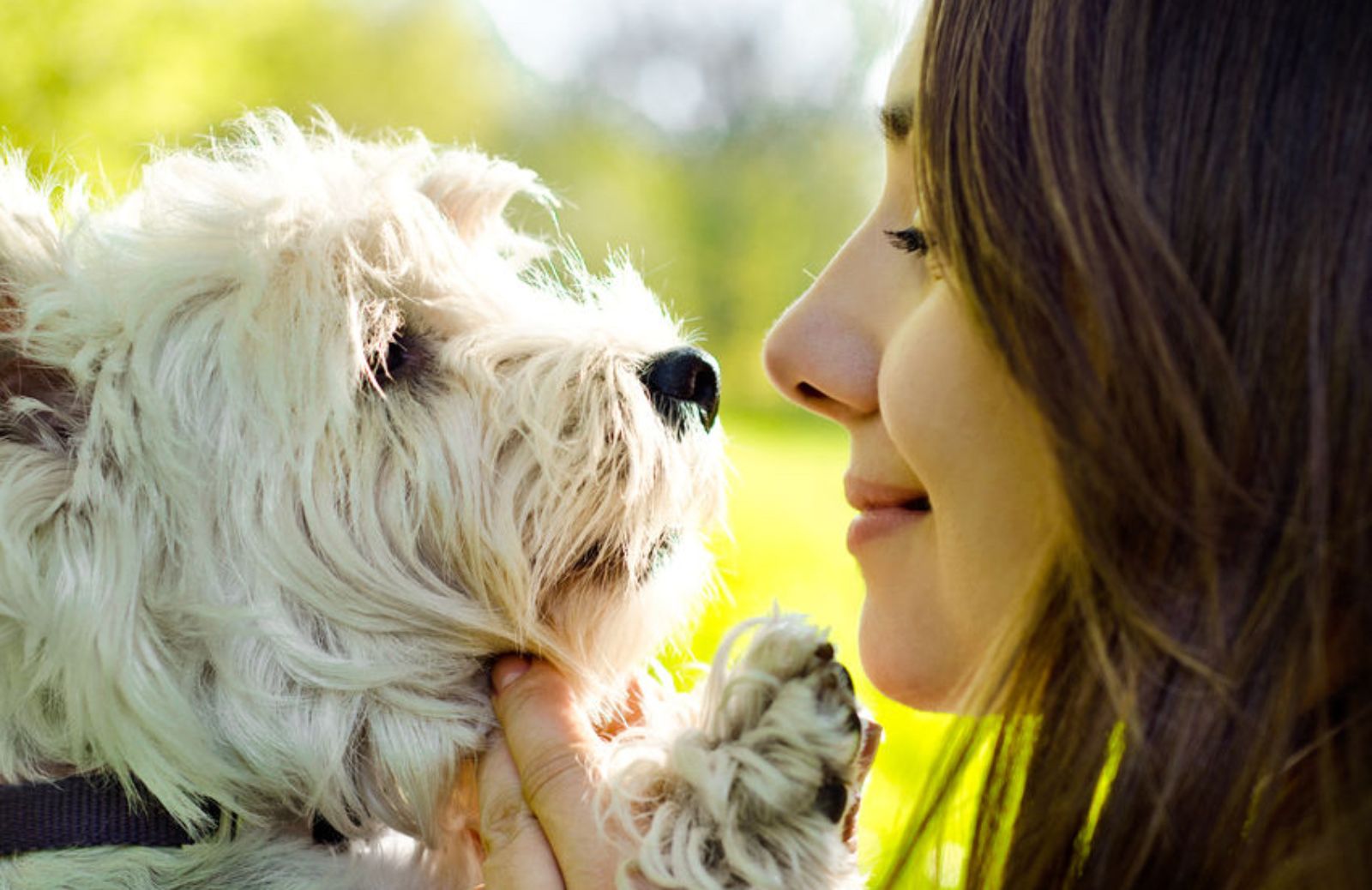 Le 10 buone ragioni per avere un cane