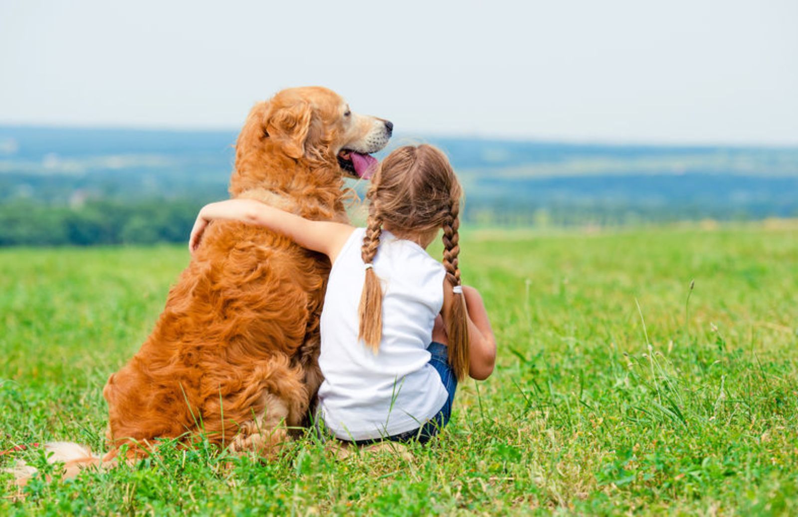 Le 10 razze di cani adatte ai bambini