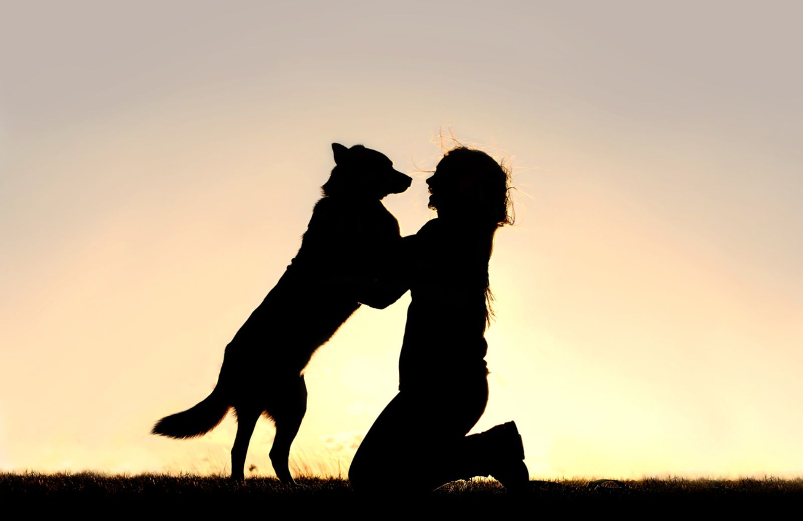 Le 10 regole per vivere in armonia con il tuo cane 