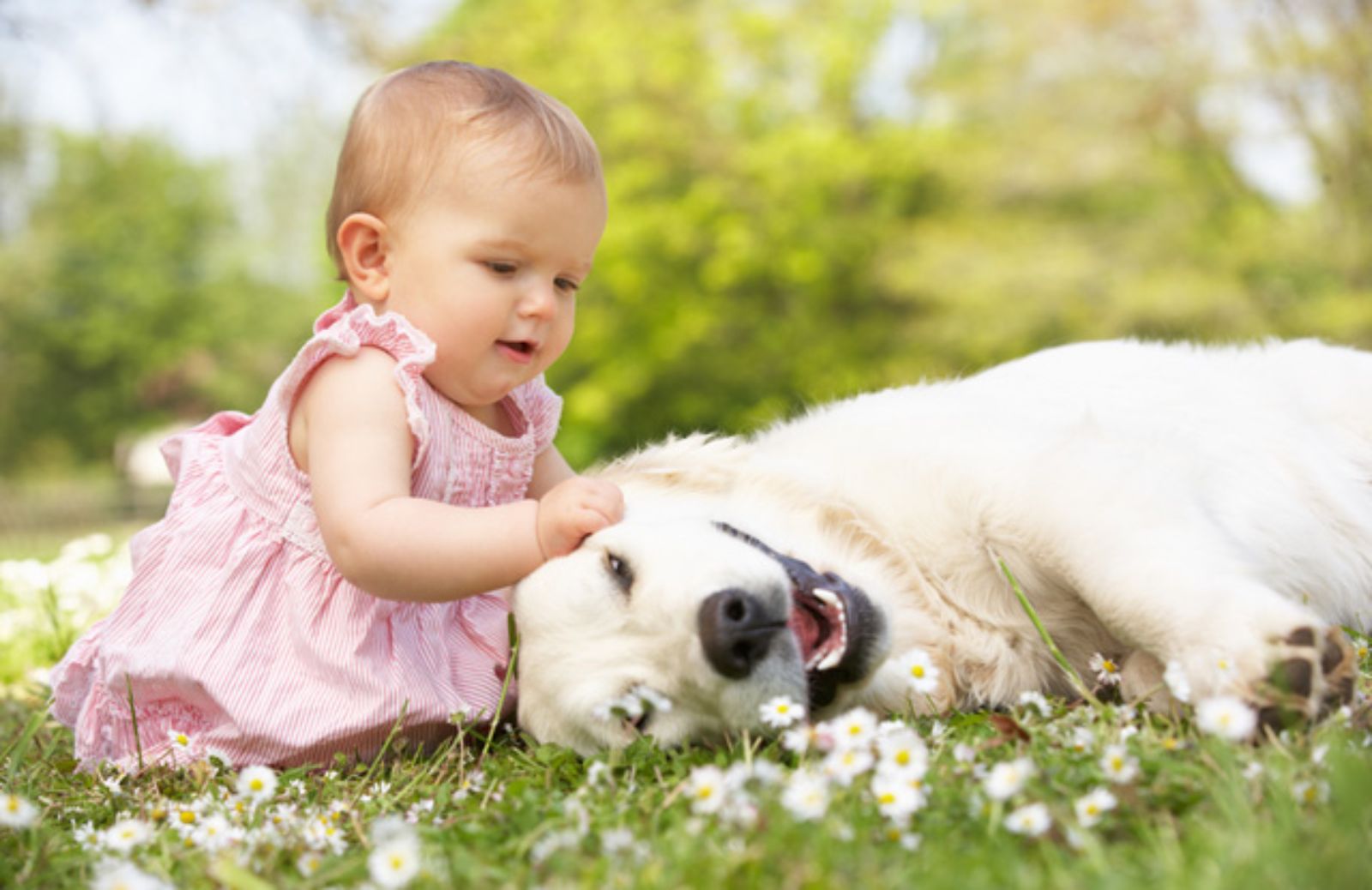 Le 5 regole d’oro del rapporto cane-bambino