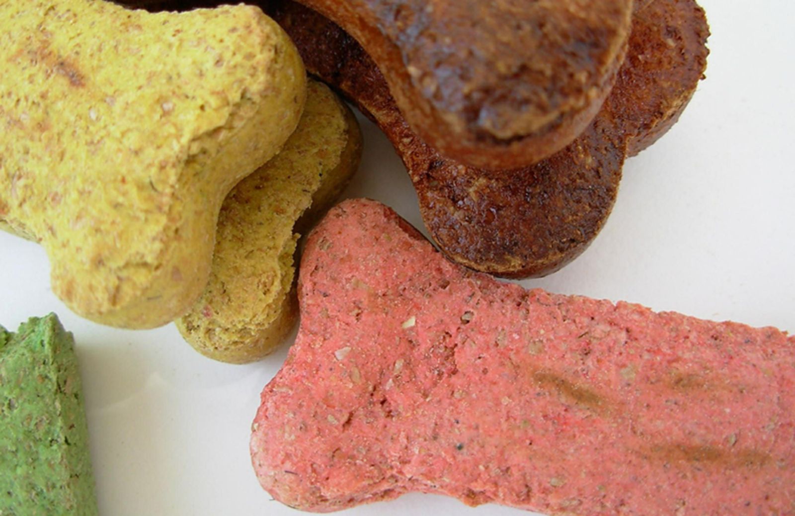 Ricette per cani: 5 biscotti fatti in casa che il tuo cucciolo amerà