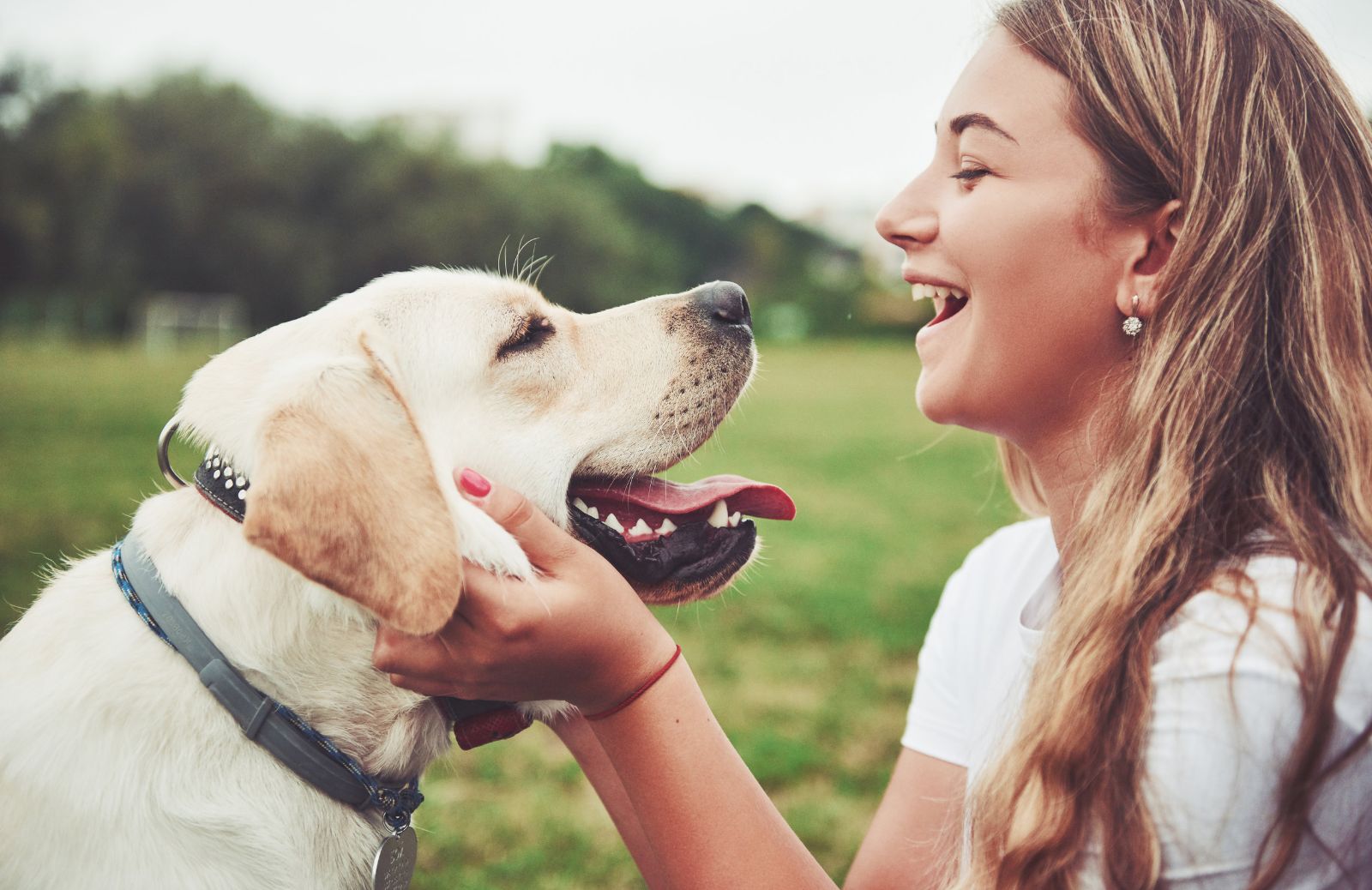 4 ottobre, Giornata mondiale degli animali: storia e obiettivi