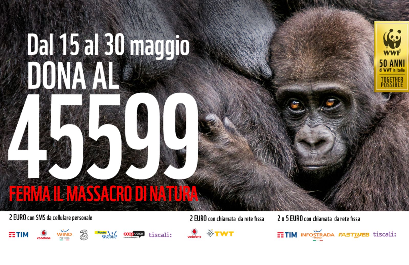 “Cuore Verde dell’Africa”, la Campagna del WWF per salvare i gorilla