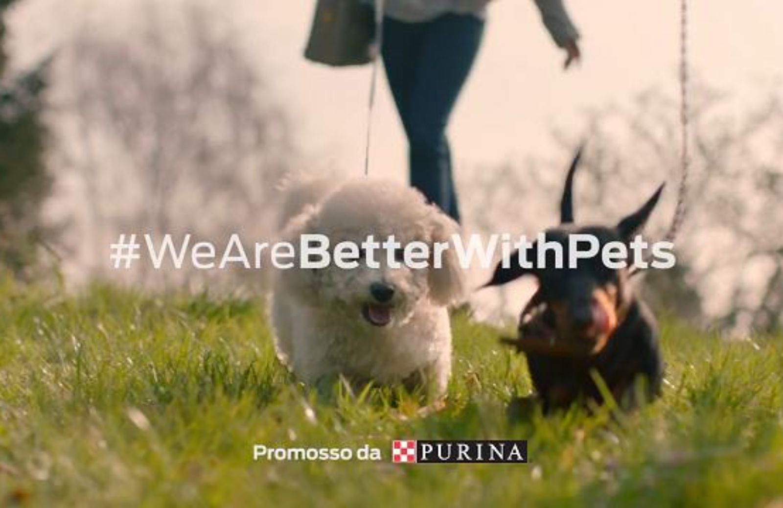 #WeAreBetterWithPets: l’iniziativa per aiutare gli animali