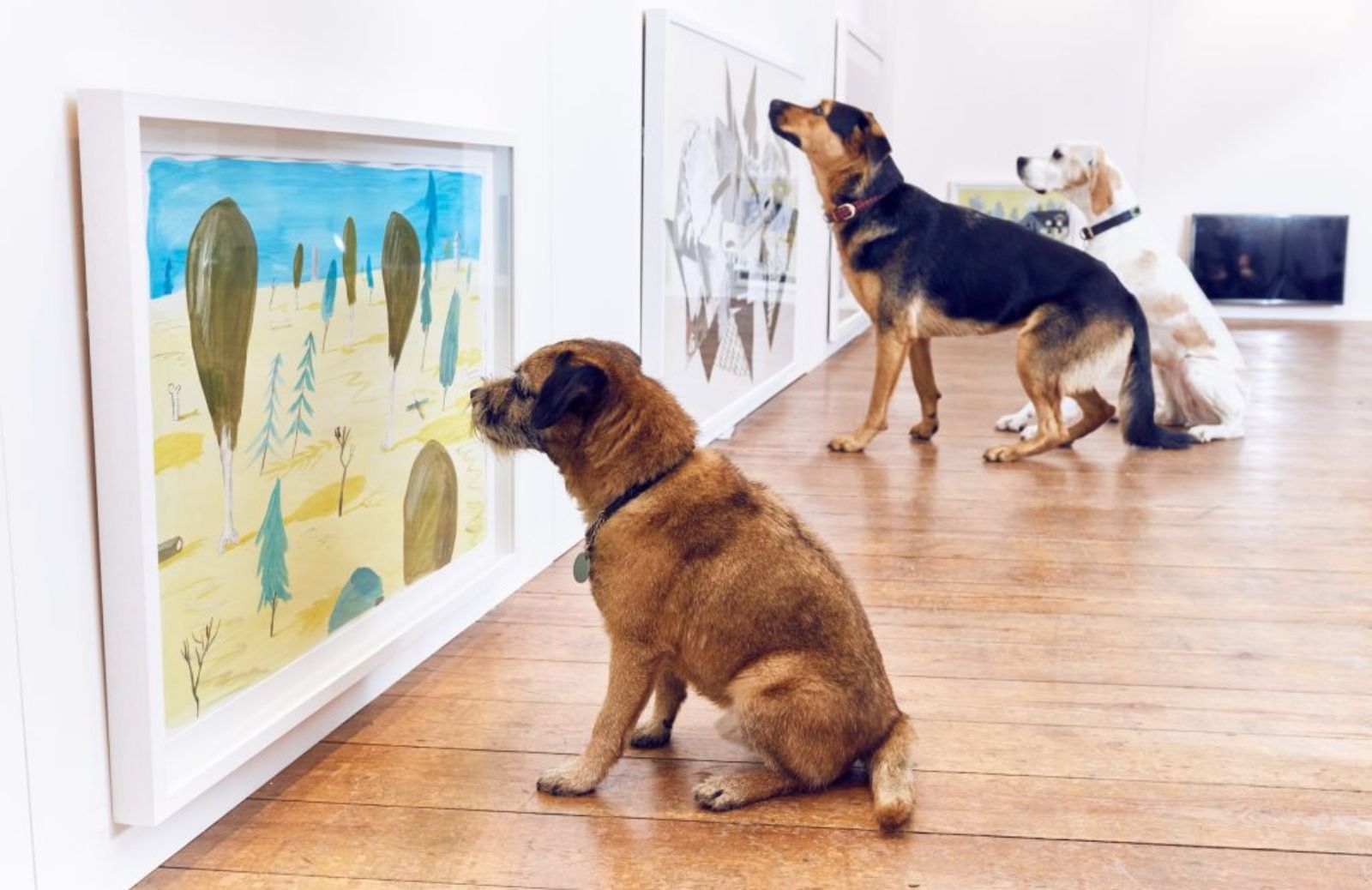 A Londra la prima mostra d’arte per cani