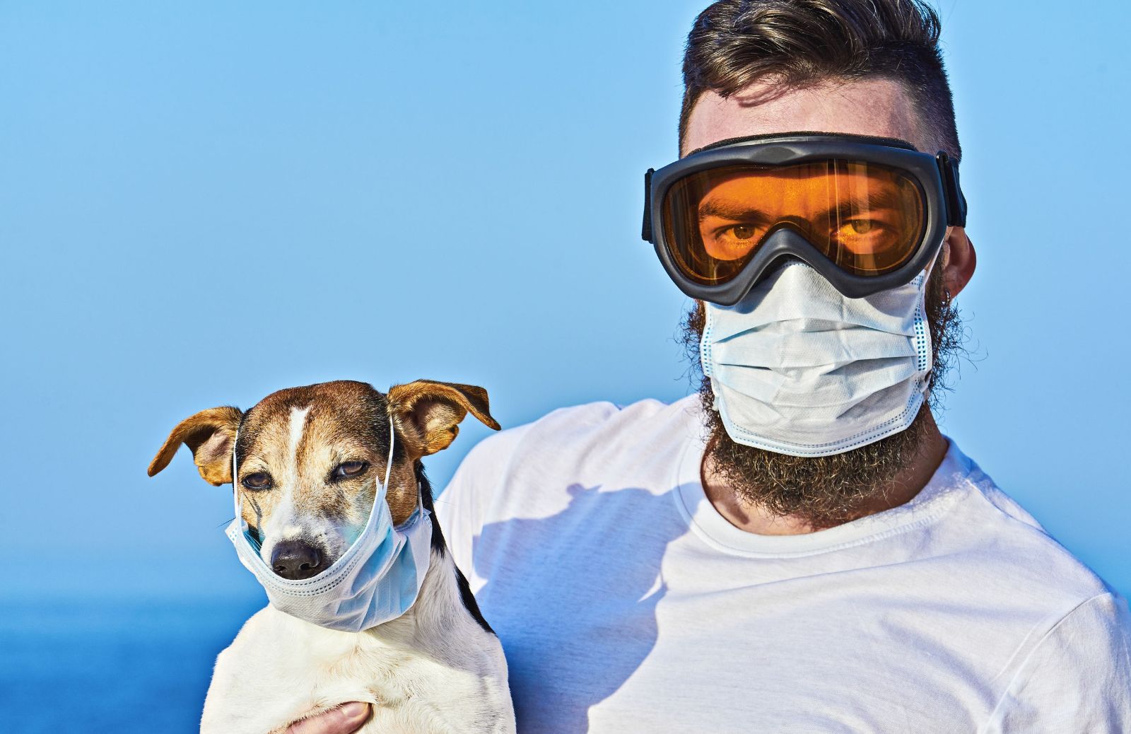 Coronavirus: anche cani e gatti possono contagiarci?