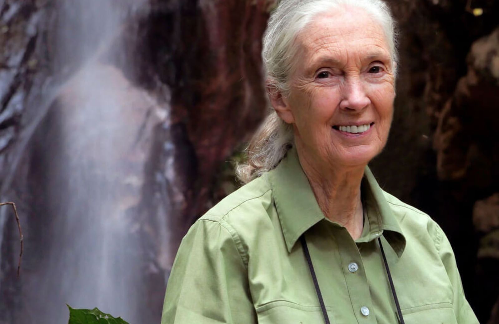 Jane Goodall: “La mancanza di rispetto per gli animali ha causato la pandemia”