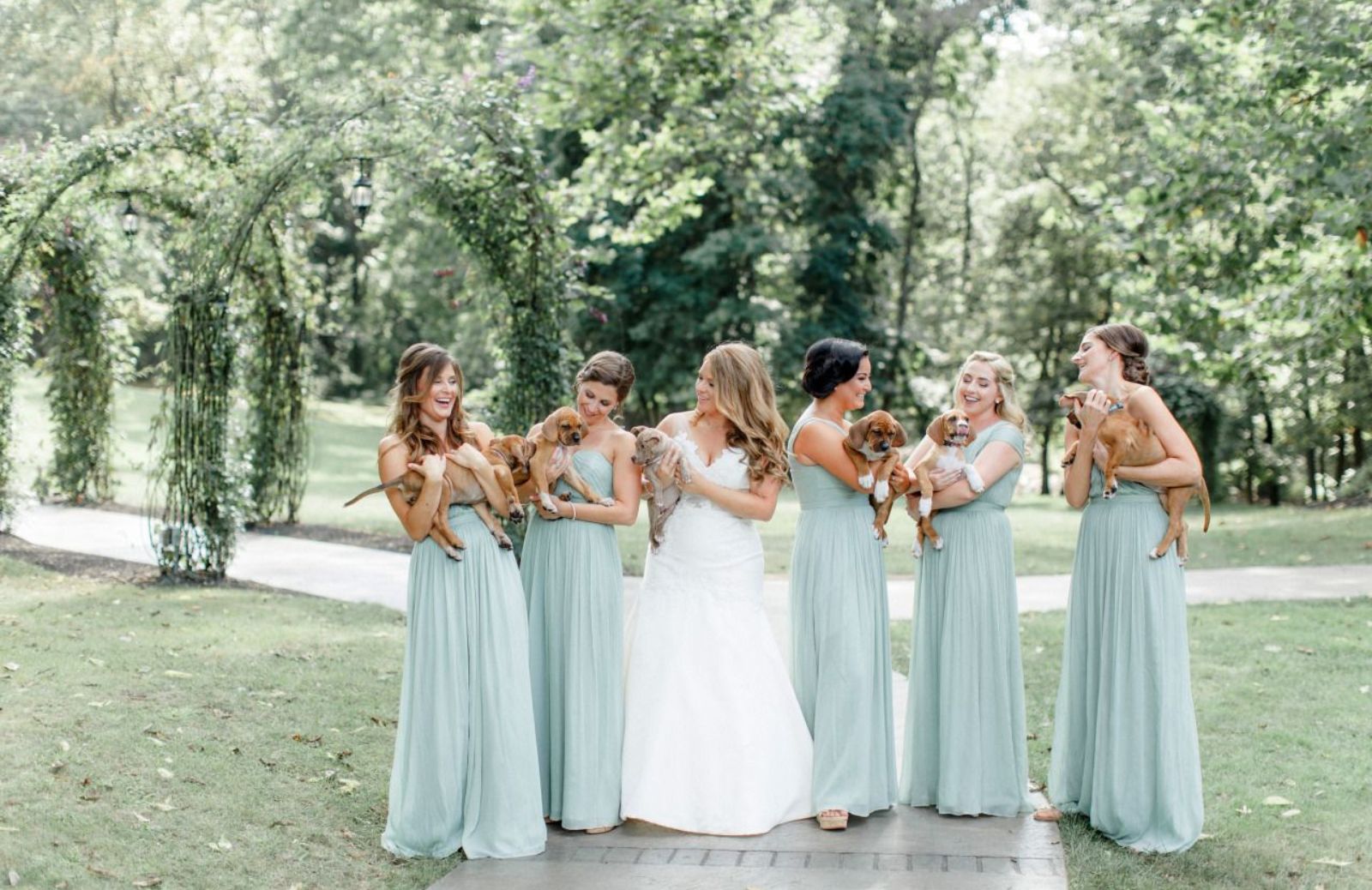 Matrimonio pet-friendly: cuccioli abbandonati al posto del bouquet 