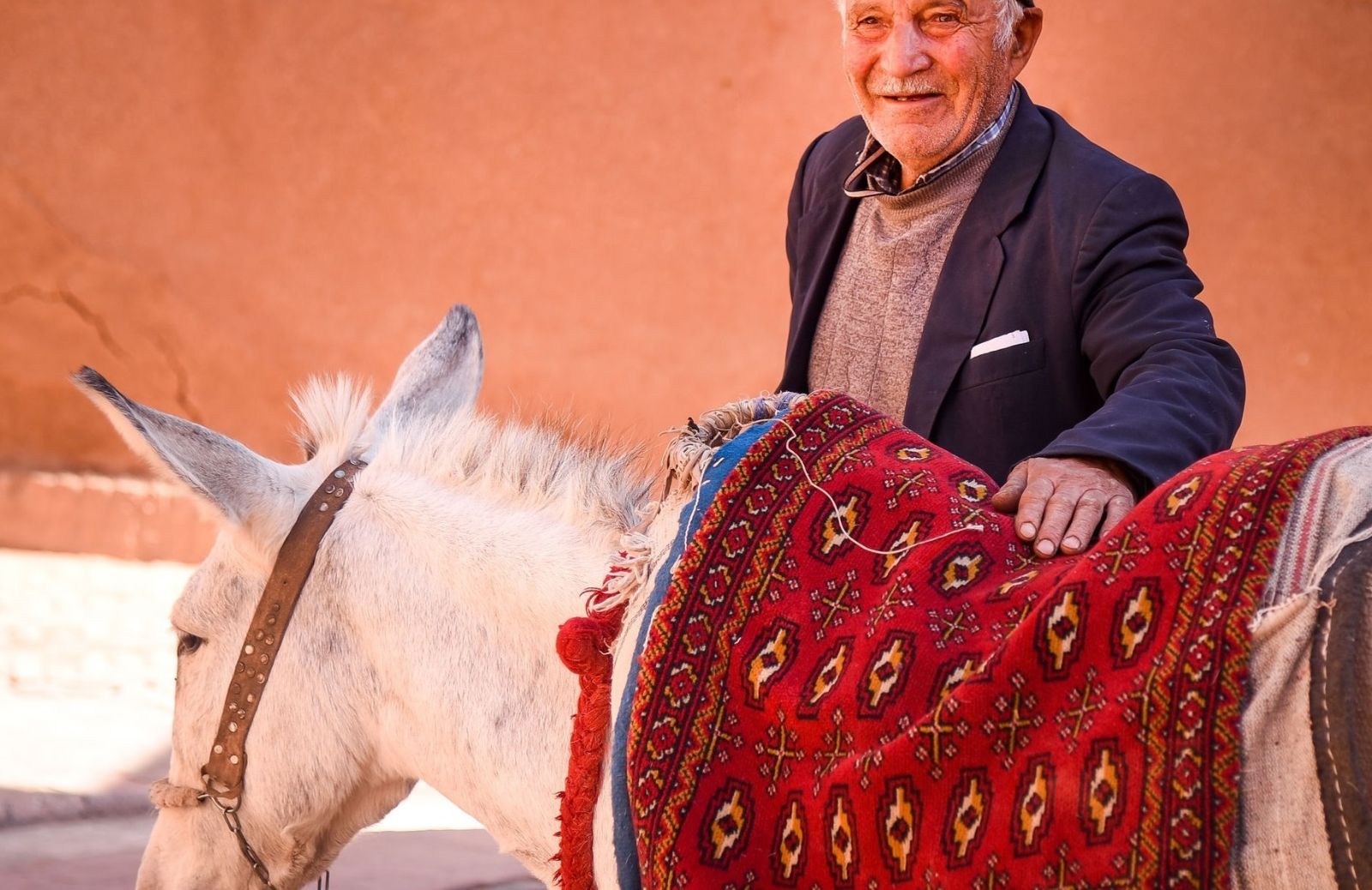 Quando il pony diventa animale da compagnia: la storia di Carmelo e Maresciallo