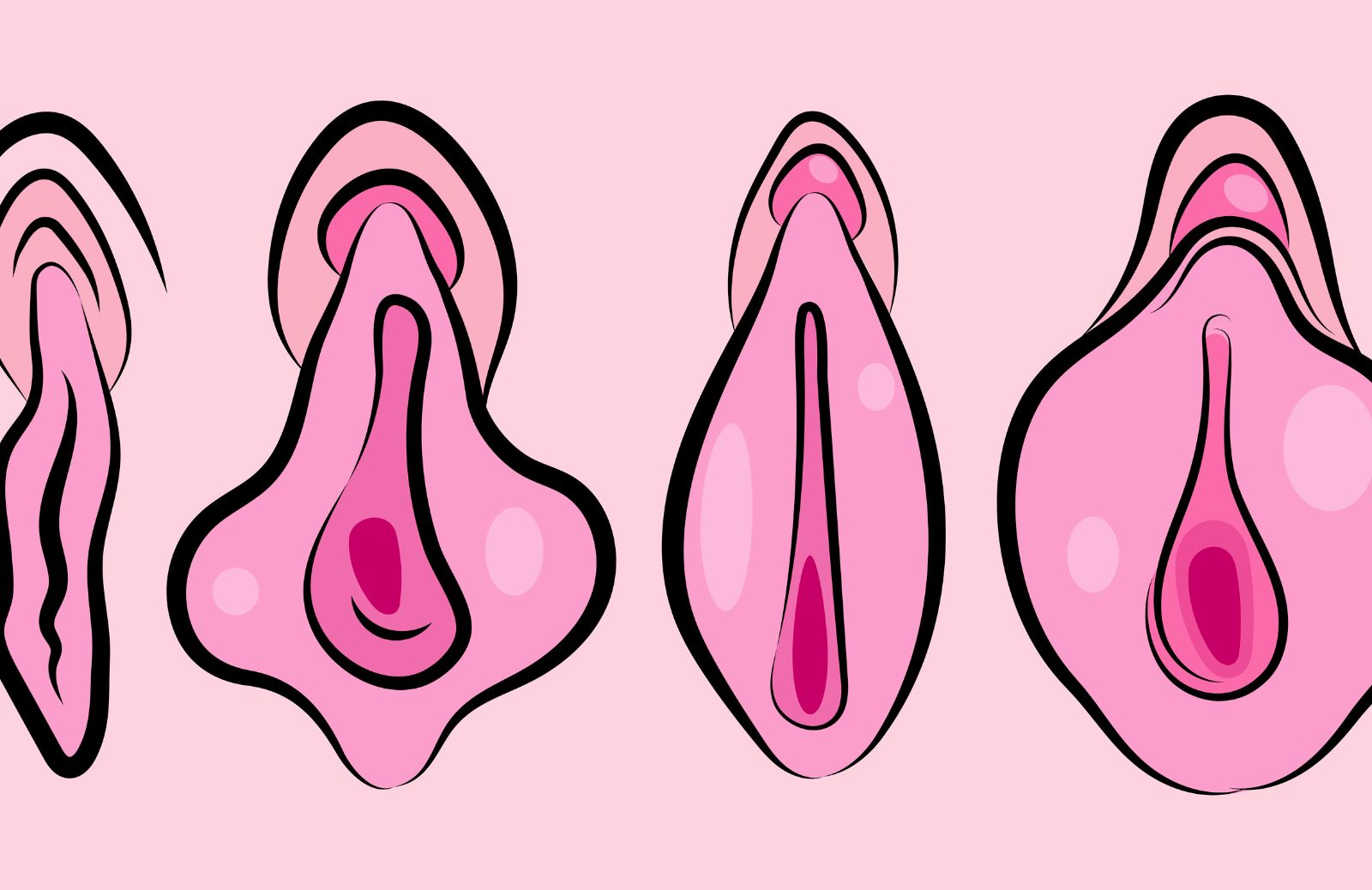 Anatomia della vagina