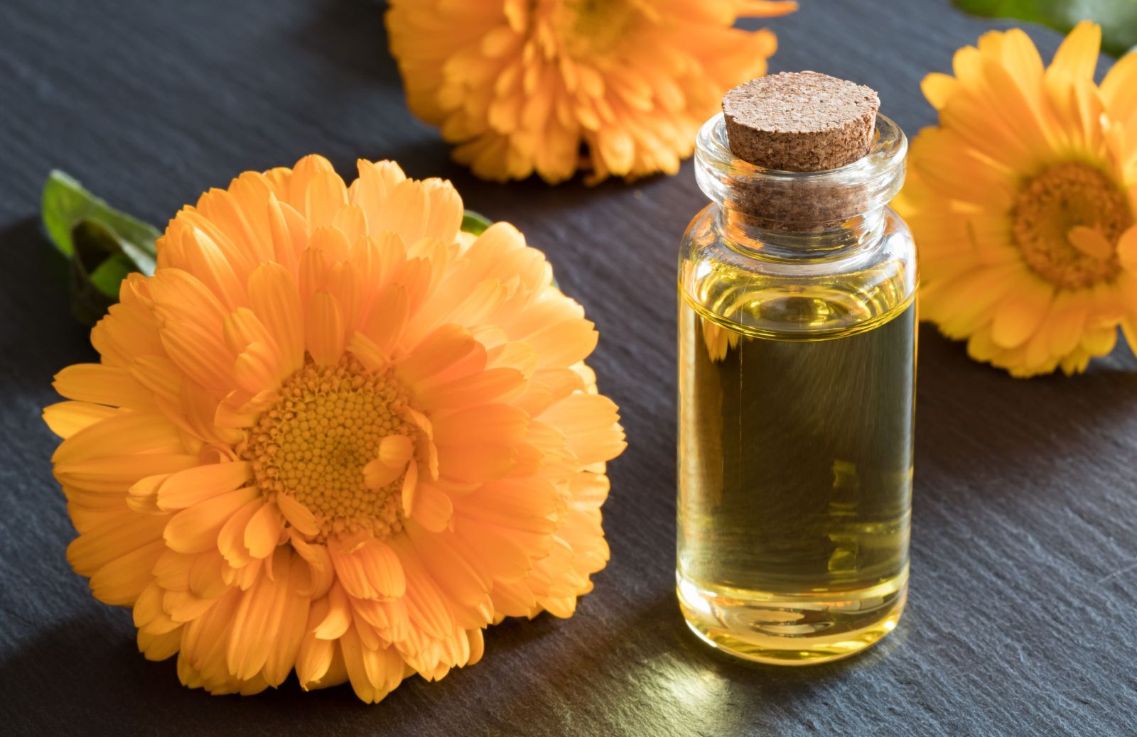 Dall'olio di calendula al tea tree oil: 6 oli essenziali contro l'acne