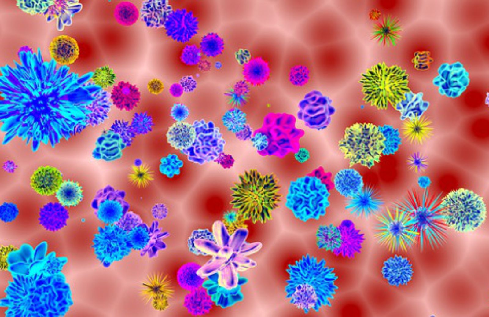 HPV, 10 cose da sapere sul papilloma virus