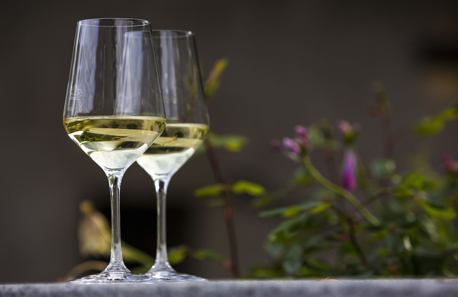 Alcol e cancro: vino bianco associato al melanoma