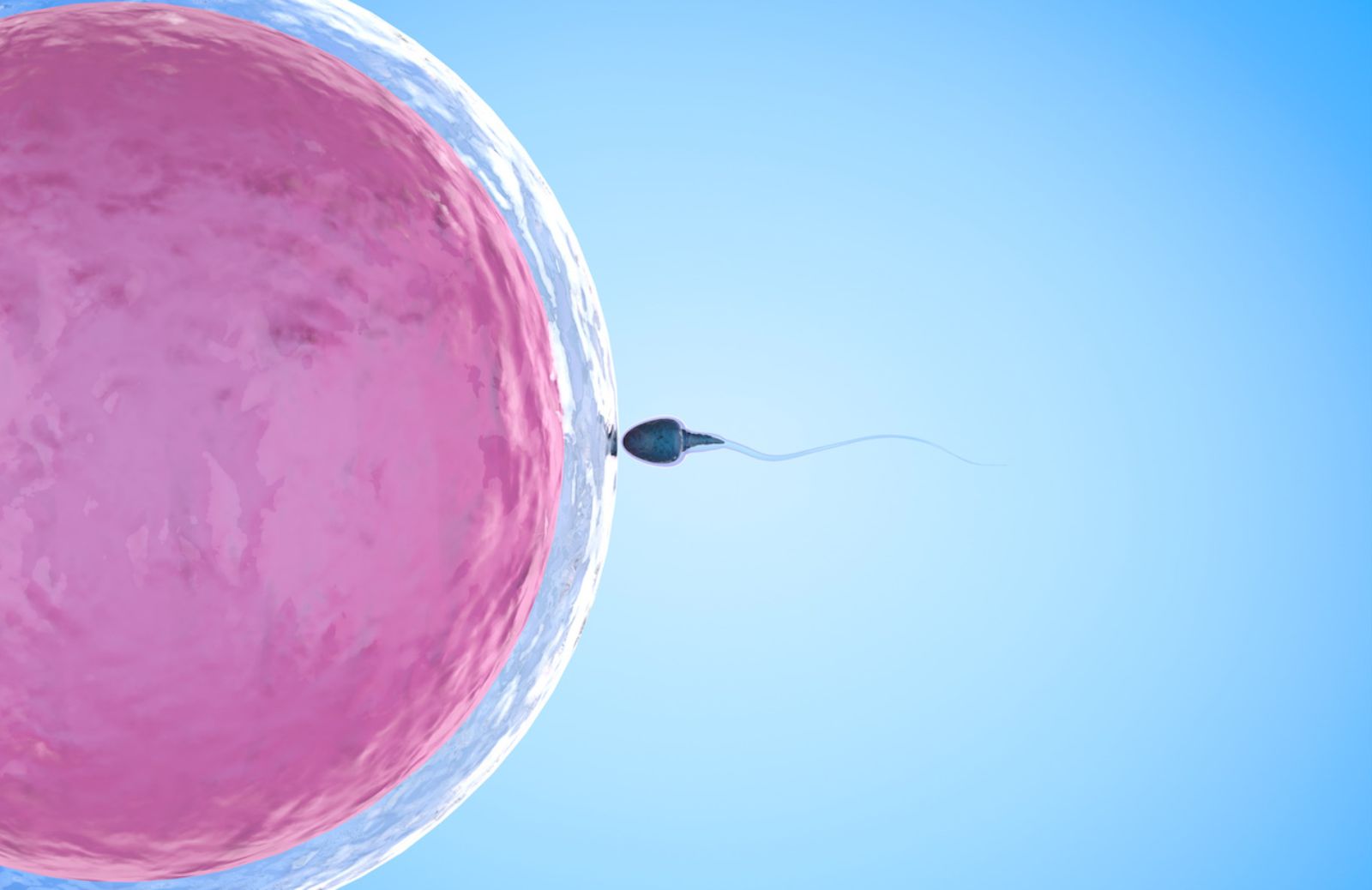 Fertilità: come migliorare sperma e spermatozoi con l'alimentazione