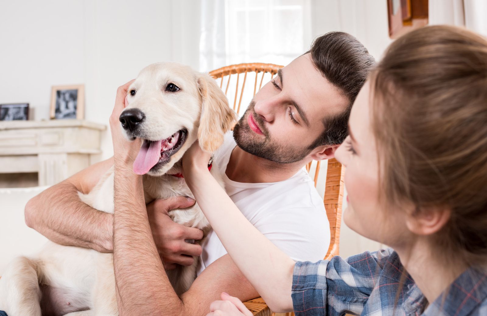 “Amore prendiamo un cane”: l’entrata di un cucciolo in coppia