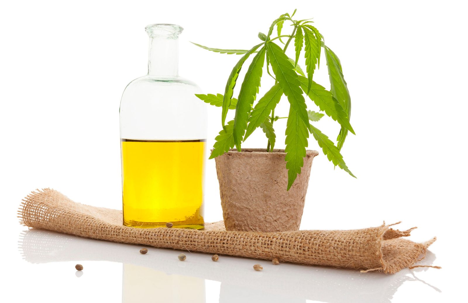 Come fare un olio doposole lenitivo alla cannabis 