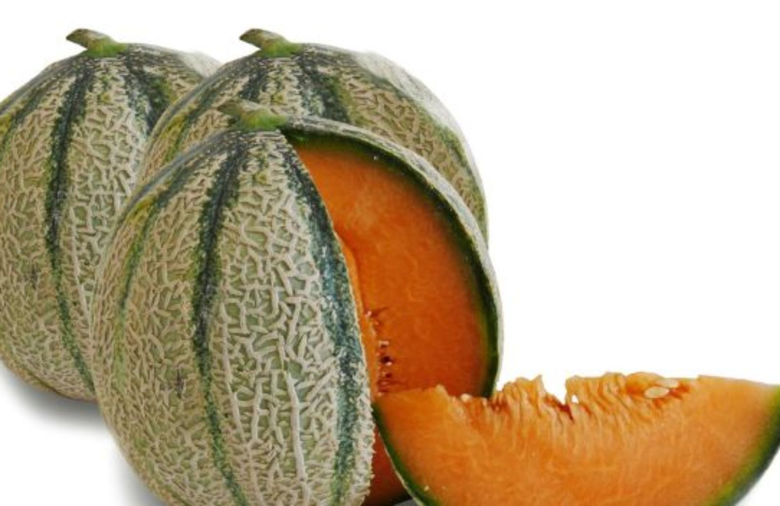 Come coltivare il melone