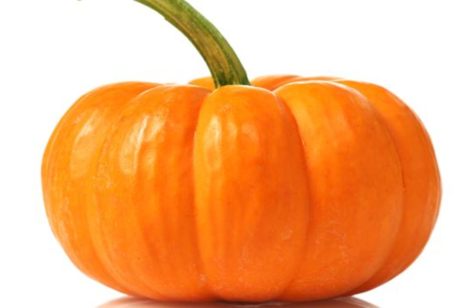 Come coltivare la zucca