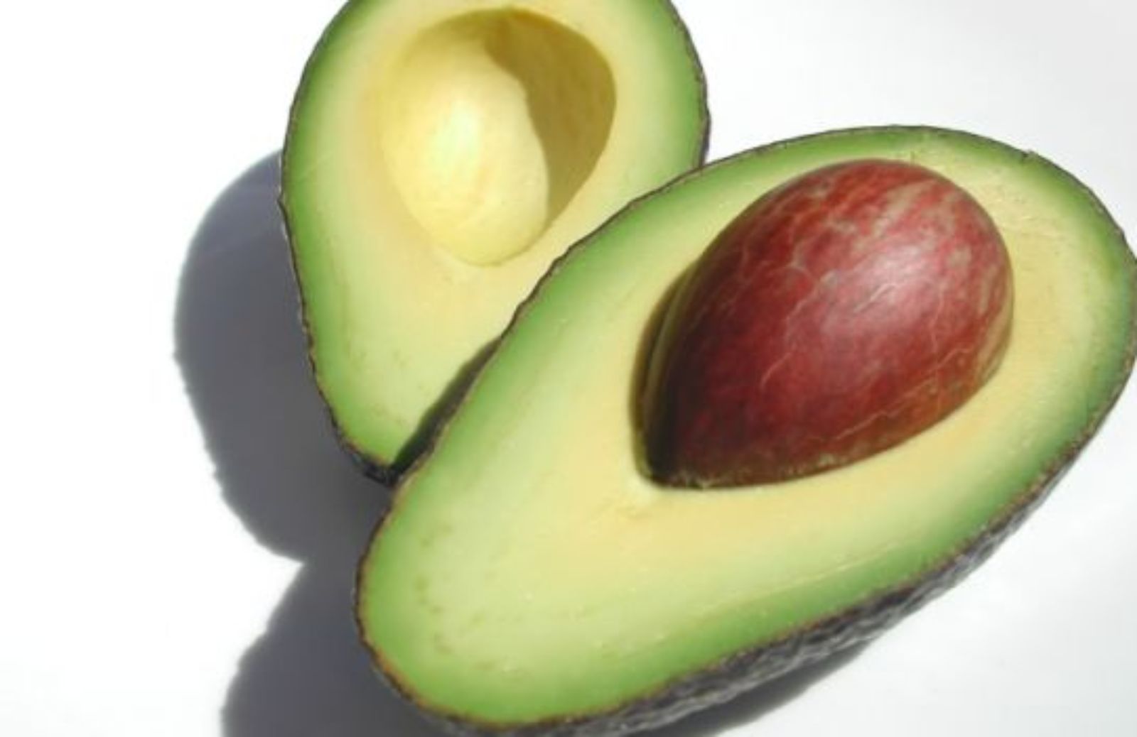 Come coltivare una pianta di avocado