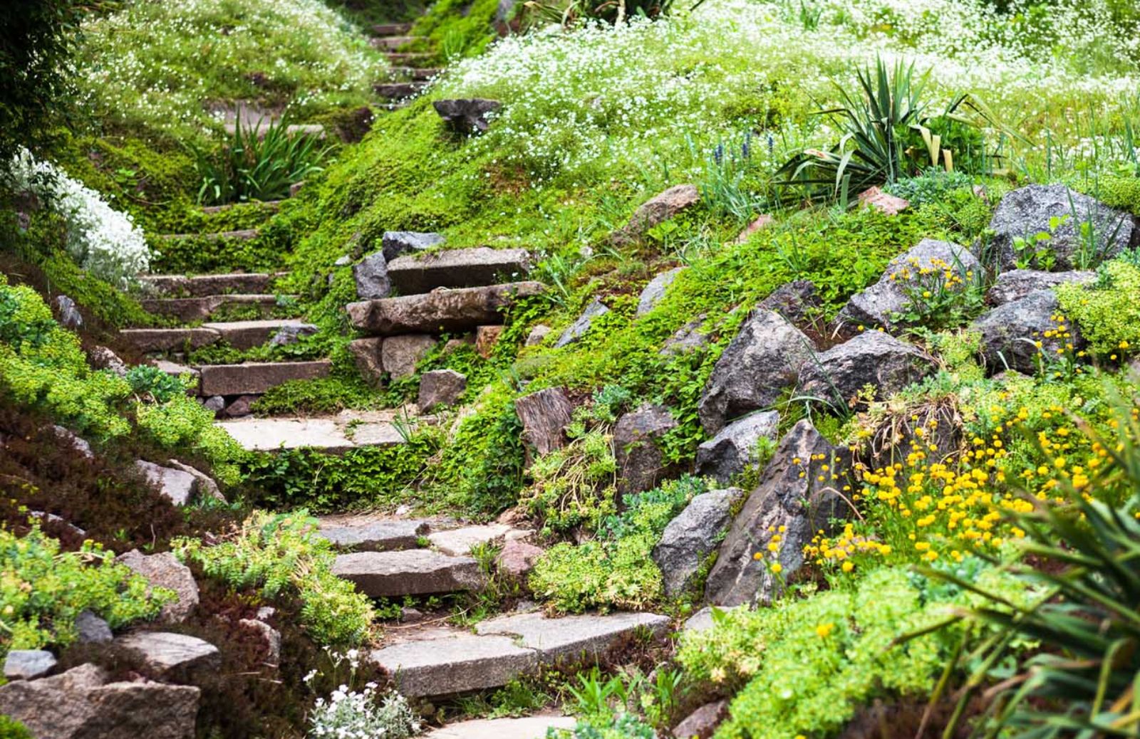 Come creare un giardino alpino