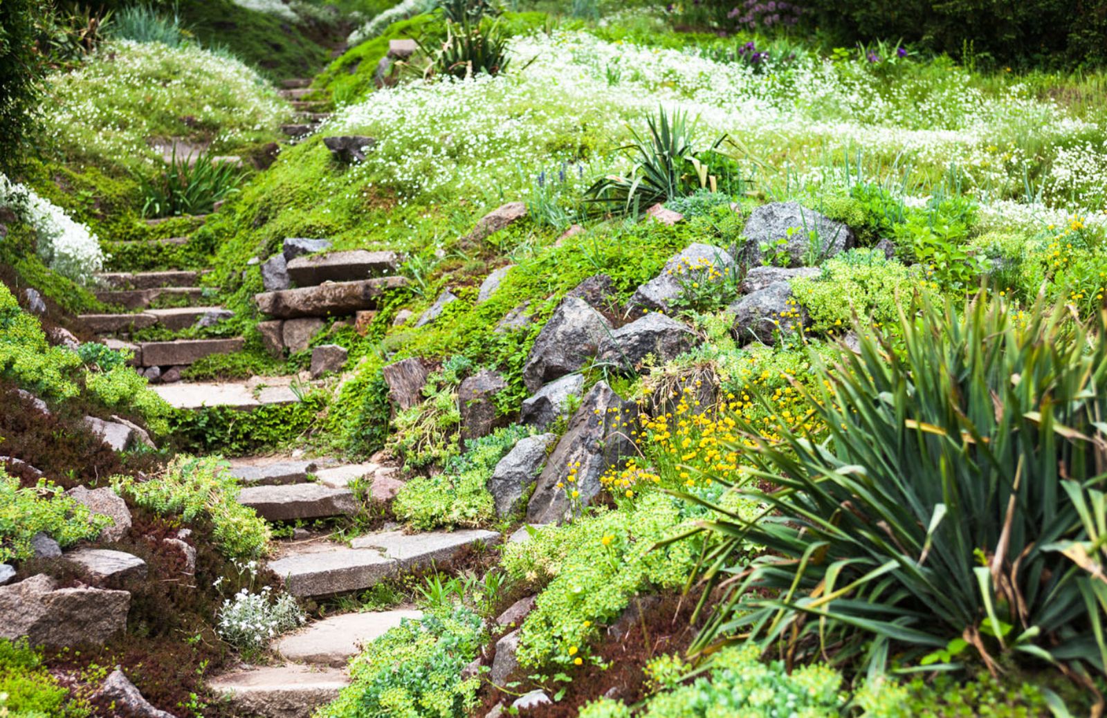 Come creare un giardino esotico