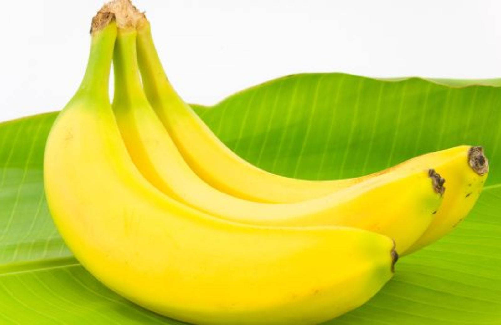 Come curare l'albero di banano