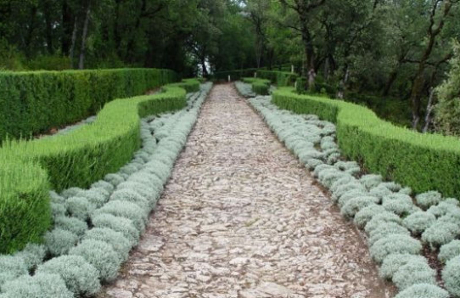 Come progettare i percorsi del tuo giardino